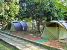 Dandeli camping