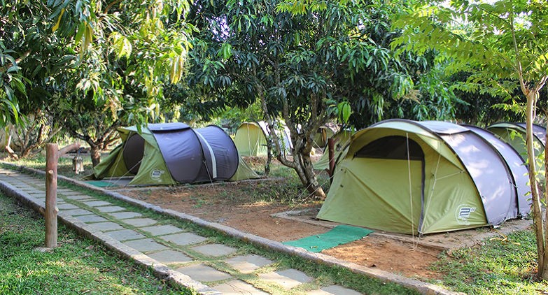 Dandeli camping