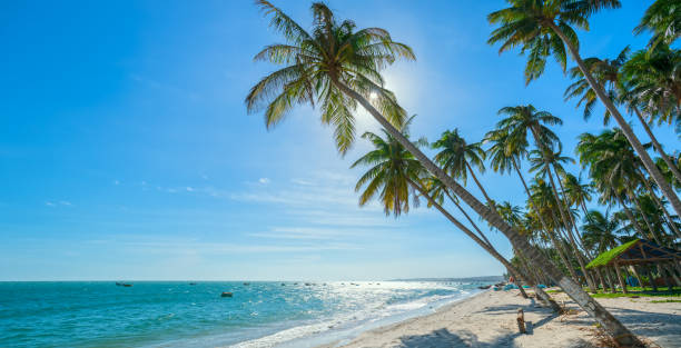 best things to do in Mui Ne